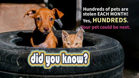 Did you know